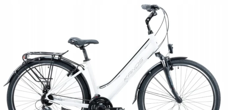675305095396a5f56680dacaa4df651d